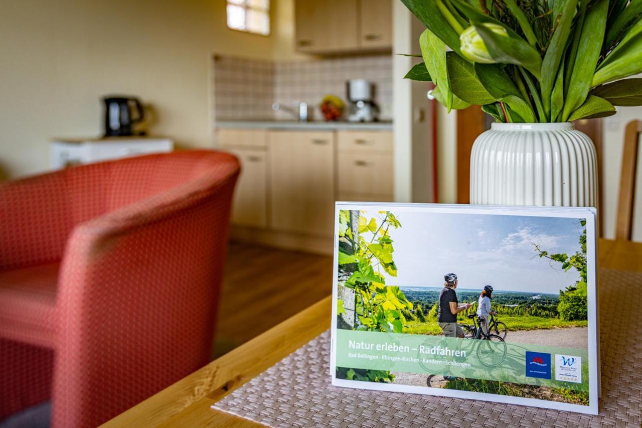 Gaestehaus Hoeferlin Bad Bellingen Kültér fotó