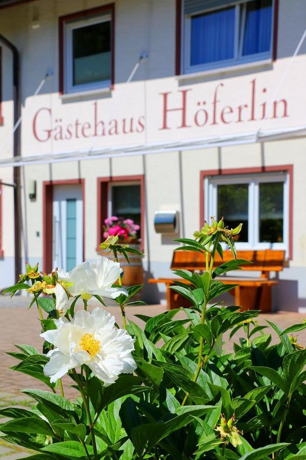 Gaestehaus Hoeferlin Bad Bellingen Kültér fotó